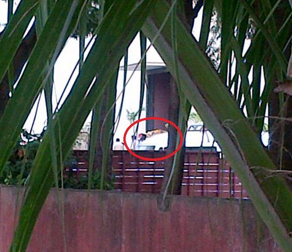 Yash Chopra Funeral, Yash Chopra Funeral photos, Yash Chopra dead body, Yash Chopra dead body photos, Yash Chopra last rites, Yash Chopra last rites pics 